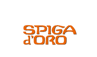Punto vendita SPIGA D'ORO - Donkly